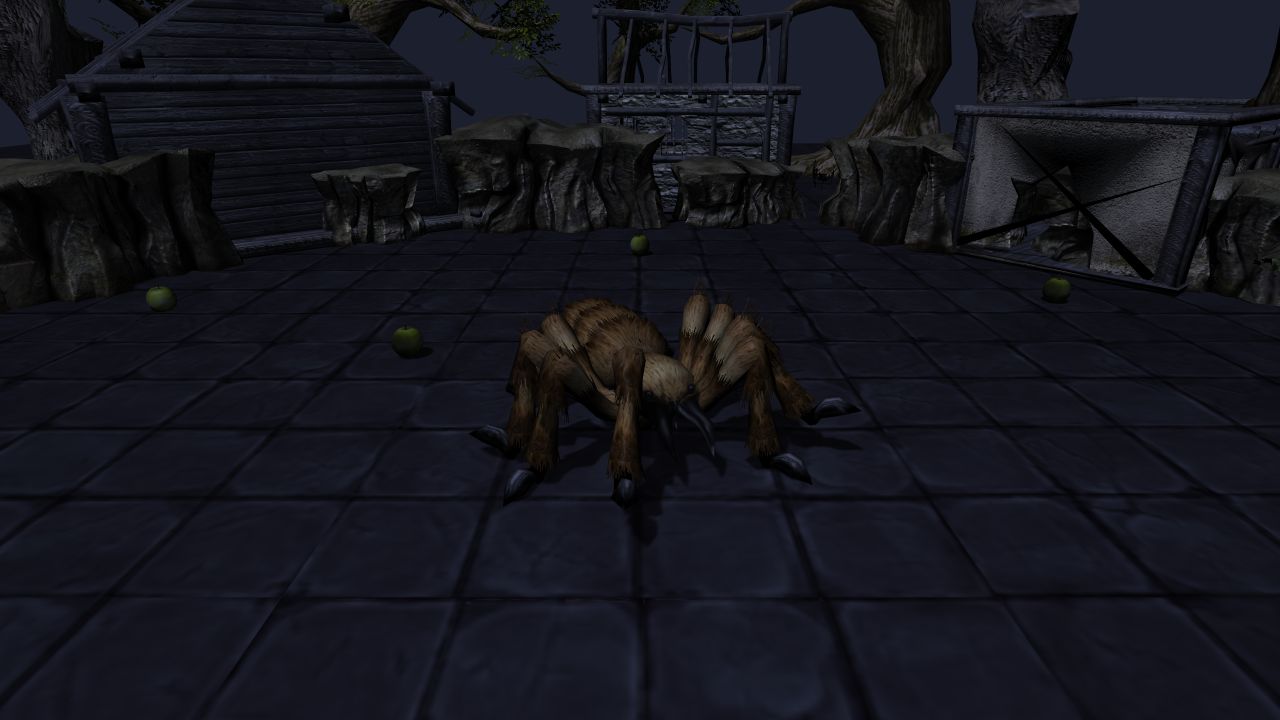 Pet Spider arena